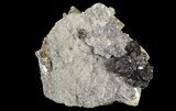 Calcite On Quartz & Sphalerite - Elmwood Mine #66313-3